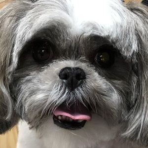 Meet your Posher, Deborah